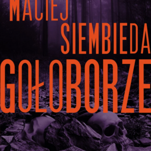 Maciej Siembieda: Gołoborze